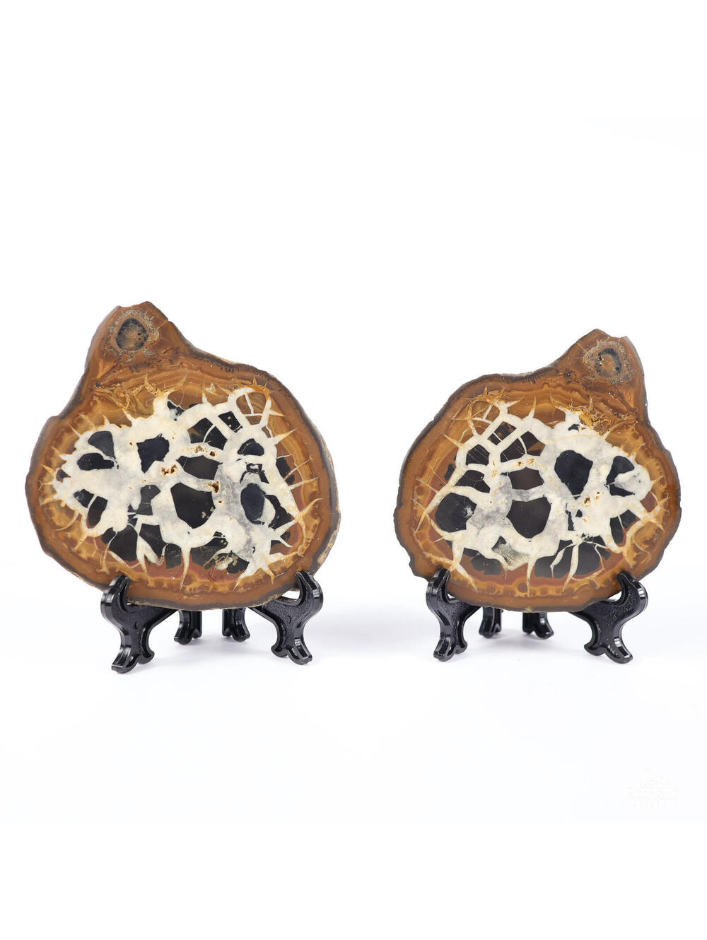 Septarian Nodule Pair "Dragon Egg" Geode Crystal 3" Mineral Stone Decor 0171